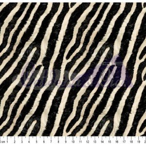 Zebra Cor 03 (Est. Digital 3D) 